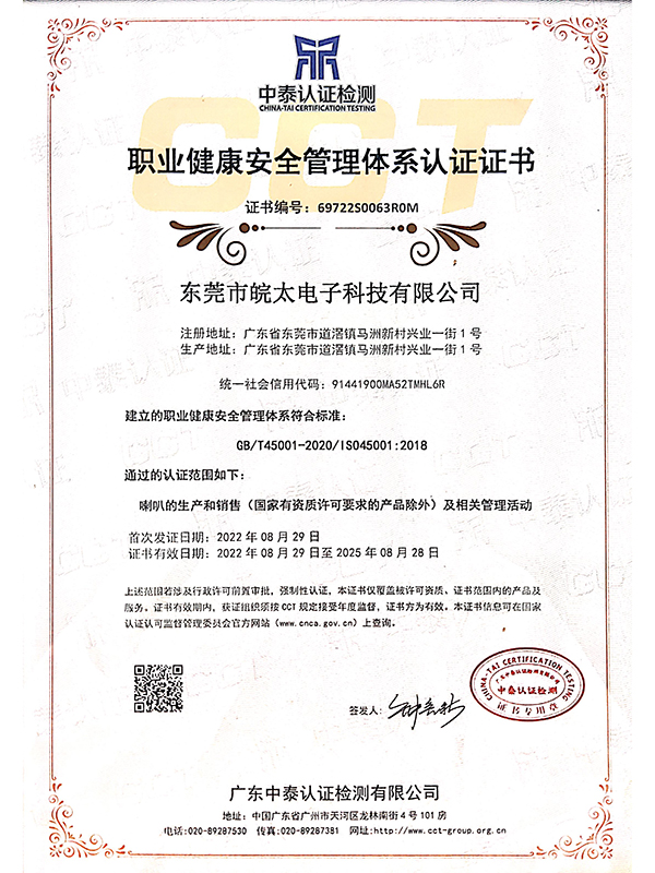 ISO45001中文版